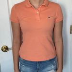 Lacoste  shirt Photo 0