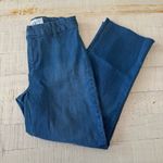 Frank & Eileen  Kinsale Jeans size 2 Medium Wash‎ Stretch Ankle Pants Raw Hem Photo 2