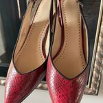 Adrienne Vittadini Snake Print Shoes Photo 2