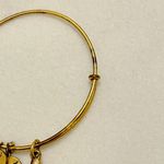 ALEX AND ANI Rose Swarovski crystal October birth stone charm Bracelet Photo 3