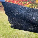 Alex Evenings  Black Lace Petite Jacket Photo 11