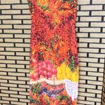 ZARA  Farmers Market Mesh Dress‎ Size Medium Photo 0