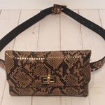 Waist Pack/Belt Bag Brown Photo 1