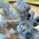 Sweet Lemons Real Miniature Seashells In Glass Bottle Necklace Photo 4