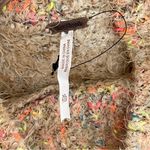 Free People Stardust Pullover Sweater XL NWOT Photo 8