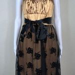 Heart soul  Cocktail Dress in Gold with Black Lace Overlay Photo 0
