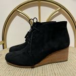 Dr Schooll’s Photo 3