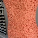 Lilly Pulitzer  Neon Orange Crochet Lace Jaimie Shift Sheath Dress Jamie Size S Photo 5