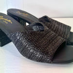 Seychelles  Black Woven Raffia Block Heel Mules Sandals Square Toe Slides Size 8 Photo 0