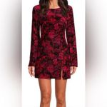Chelsea and Violet  Crimson velvet Rose Long Sleeve Dress Photo 4