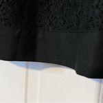 None Lace Overlay Reversible Skirt Photo 77
