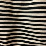 Loft  Cream/Black Striped Elastic Waist Aline Skirt S Photo 4