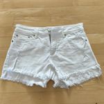 Just USA  White Denim Shorts Photo 0