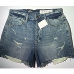 Treasure & Bond foster Boyfriend Denim Shorts Button Up Destroyed Frayed Hem 29 Photo 0
