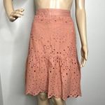 Ultra Pink Eyelet Embroidered Ruffle Skirt Photo 0