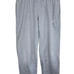 Nike Gray Therma-Fit Drawstring Elastic Waist Straight Leg Sweatpants Size L Photo 0