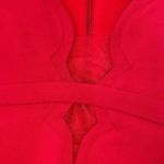 ALC Frank A.L.C. Eve Long Sleeve Red Scalloped Mini Dress Photo 4