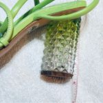 Schutz Women’s Mayte Lime Green Leather Acrylic Block Heel Sandal size 6.5 Photo 11