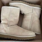 UGG Boots Photo 0