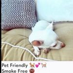 Nanette Lepore  Women's Isla Marietas Romper Swim Cover up Black Photo 11