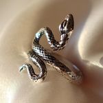 Boutique Silver Snake Adjustable Ring Photo 0