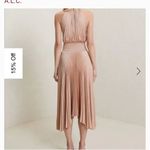 ALC Frank NWOT ALC pleated dress Photo 3