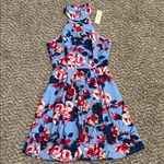 Francesca's Collections Blue and Red Floral Dress Size XS Photo 2