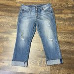 American Eagle 2013  Artist Crop Jeans Stretch Women's 14 Blue Denim Distressed Photo 0
