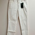 L.L.Bean  Petite Favorite Fit 1912 Jeans Photo 0