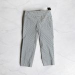 Zac & Rachel 2X Blue White Striped Pullon Ankle Pants with Millennium Fabric Size XXL Photo 2