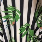 Jealous Tomato  Photo 4