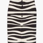 Frame  zebra pencil midi length skirt Photo 10