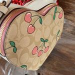 Coach  Heart Crossbody In Signature Canvas With Heart Cherry Print NEW Photo 11