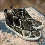 DV by Dolce Vit Dolce Vita Booties  Photo 1