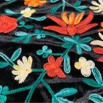 ZARA  Velvet Floral Embroidered Cropped Pant S Photo 5