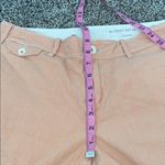 Anthropologie Paper boy pinstriped pants women’s size 10 Photo 5