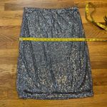 Adrianna Papell Women’s Medium Gray Silver Sequin Lined Knee Length Skirt Party Photo 2