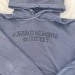 Abercrombie & Fitch Hoodie Photo 0