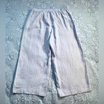 Eileen Fisher  Organic Linen Wide Leg Pull-On Pants – Light Silver Blue Sz L💛 Photo 2