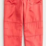 J.Crew  Drapey Tie Cargo Pants in Rusty Brick Sz. 4 Photo 0