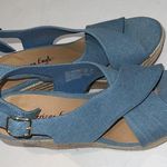 American Eagle BLUE PLATFORM ESPADRILLES HEELS size 8 Photo 0