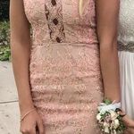 Beginning Boutique Pink Laced Embroidered Tight Halter Formal Dress Photo 0