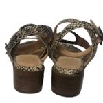 Seychelles  Exhilarating strappy sandals Photo 4