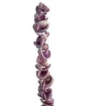 Vintage Chipped Shell Necklace Dyed Purple Surfer Vacation Screw Barrel Estate Photo 2