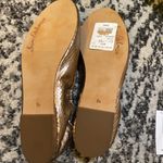 Sam Edelman  Felicia Snake Embossed Ballet Flat size 8.5 Pewter Photo 3