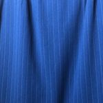 Laura Scott  Blue Lined Skirt w/white pin stripes Size 10 Petite Photo 2