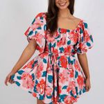 Impeccable Pig  Dress Photo 2