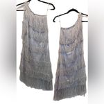 Shimmery Silver Flapper 20's Vibe Costume Photo 15