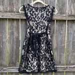 Forever 21  Black Lace Mini Dress | M Photo 1