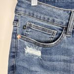 Judy Blue  Women's High Waist Skinny Fit Boho Embroidered Dandelion Jeans Sz 14W Photo 11